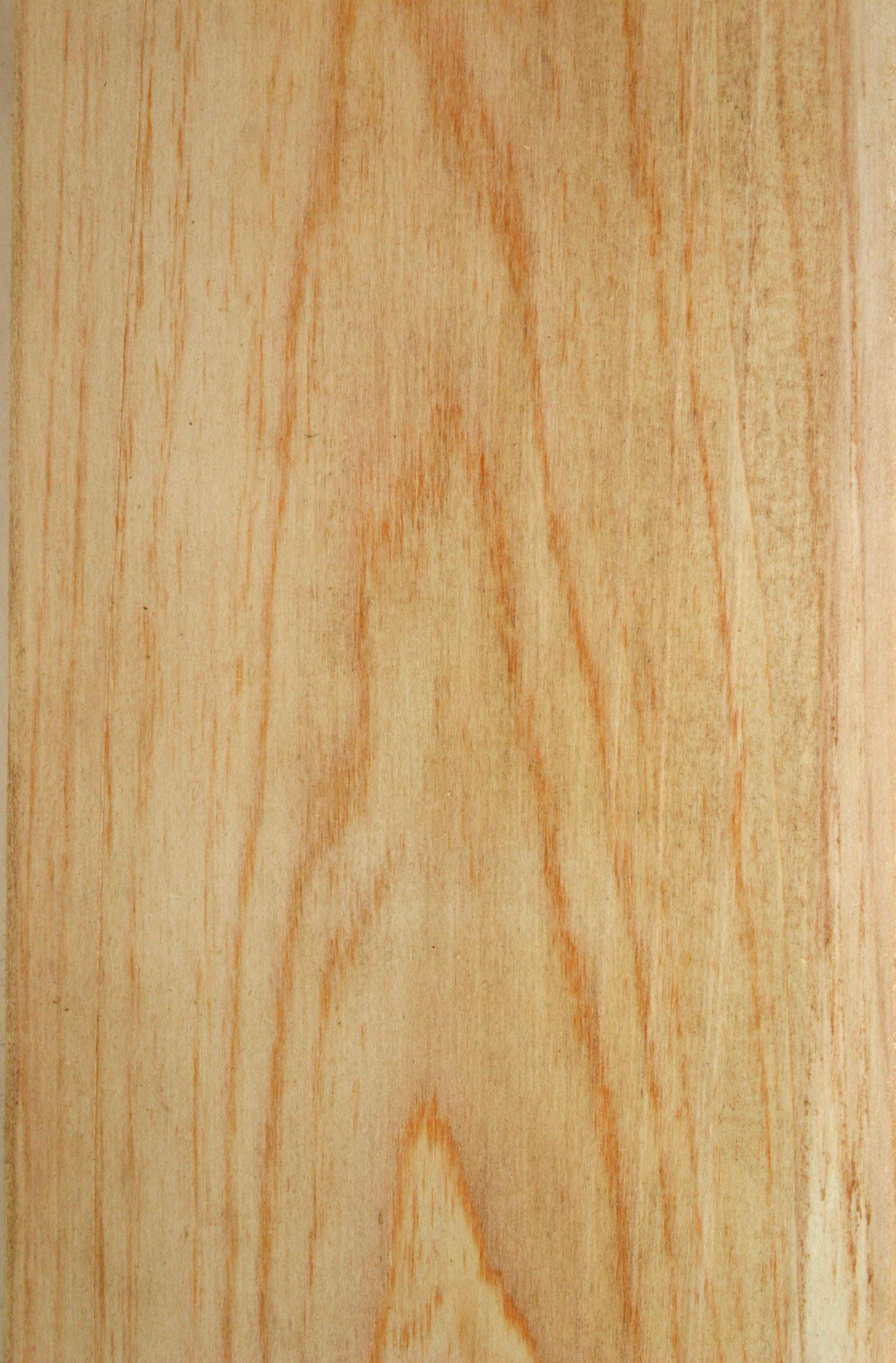 Face grain of a flat-sawn bald cypress wood sample